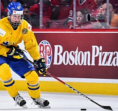 Игрок НХЛ Расмус Далин: Хочу показать партнёрам по команде, что Швеция лучше, чем США 